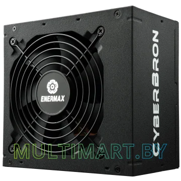 Блок питания Enermax Cyberbron 600W (ECB600AWT) картинка 3